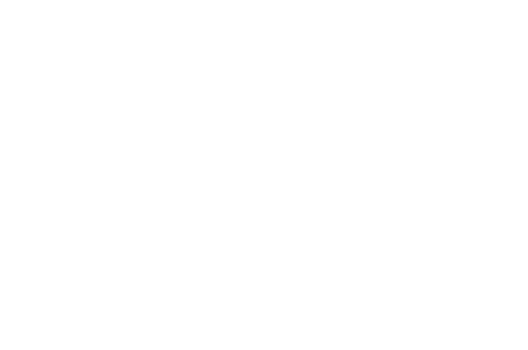 Official Selection — Miami Independent Film Festival 2019